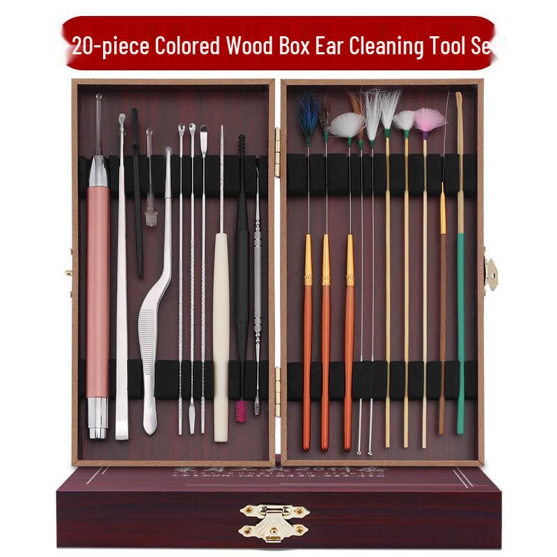 20-Piece Stainless Steel Earwax Removal Kit