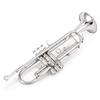 Eastar Trumpet in Bb, for Beginners, with Cleaning Accessories (Nickel Plated)