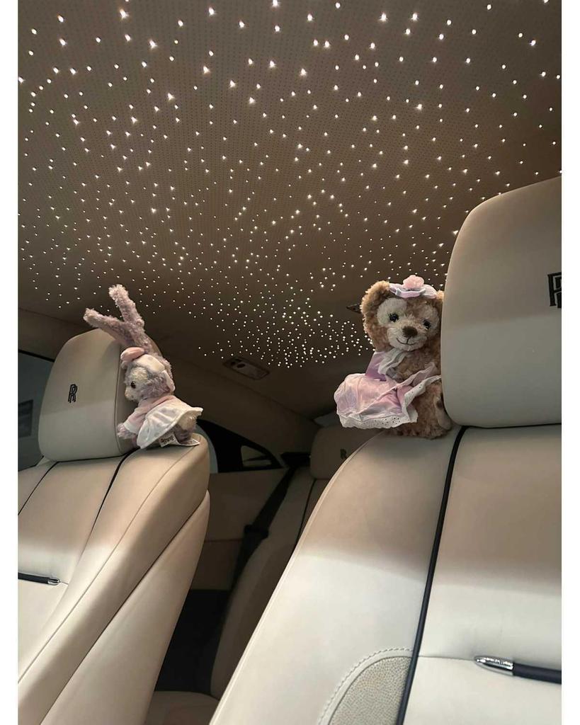 Charming Car Ornaments: Plush Passenger Seat Toys & Decorations for Women, Perfect for Tesla.