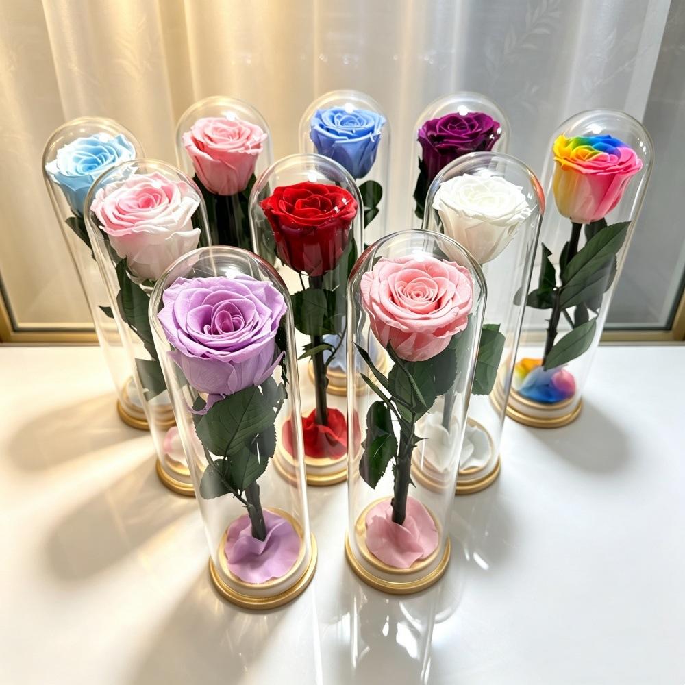 Fiore Immortale Rosa Il Piccolo Principe Cupola di Vetro Festa della Mamma San Valentino Ramo Singolo Rosa Immortale