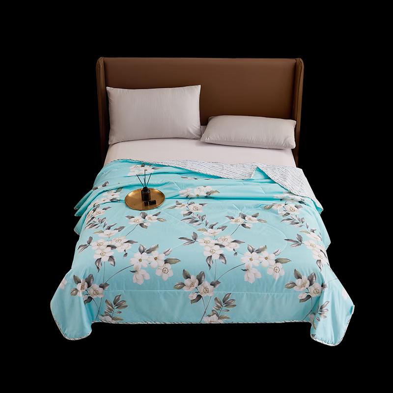 

A-TIMES Saint Anna All-Season Polyester Quilt