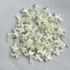 5Pcs, DIY White Shell Cross Pendant, Natural Beach Jewellery Making Kit for Christmas or Easter Gift 15×20mm