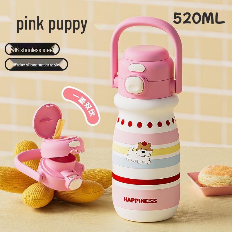 Nufeng Cartoon Kids  Dual-Drink Insulated Water Bottle