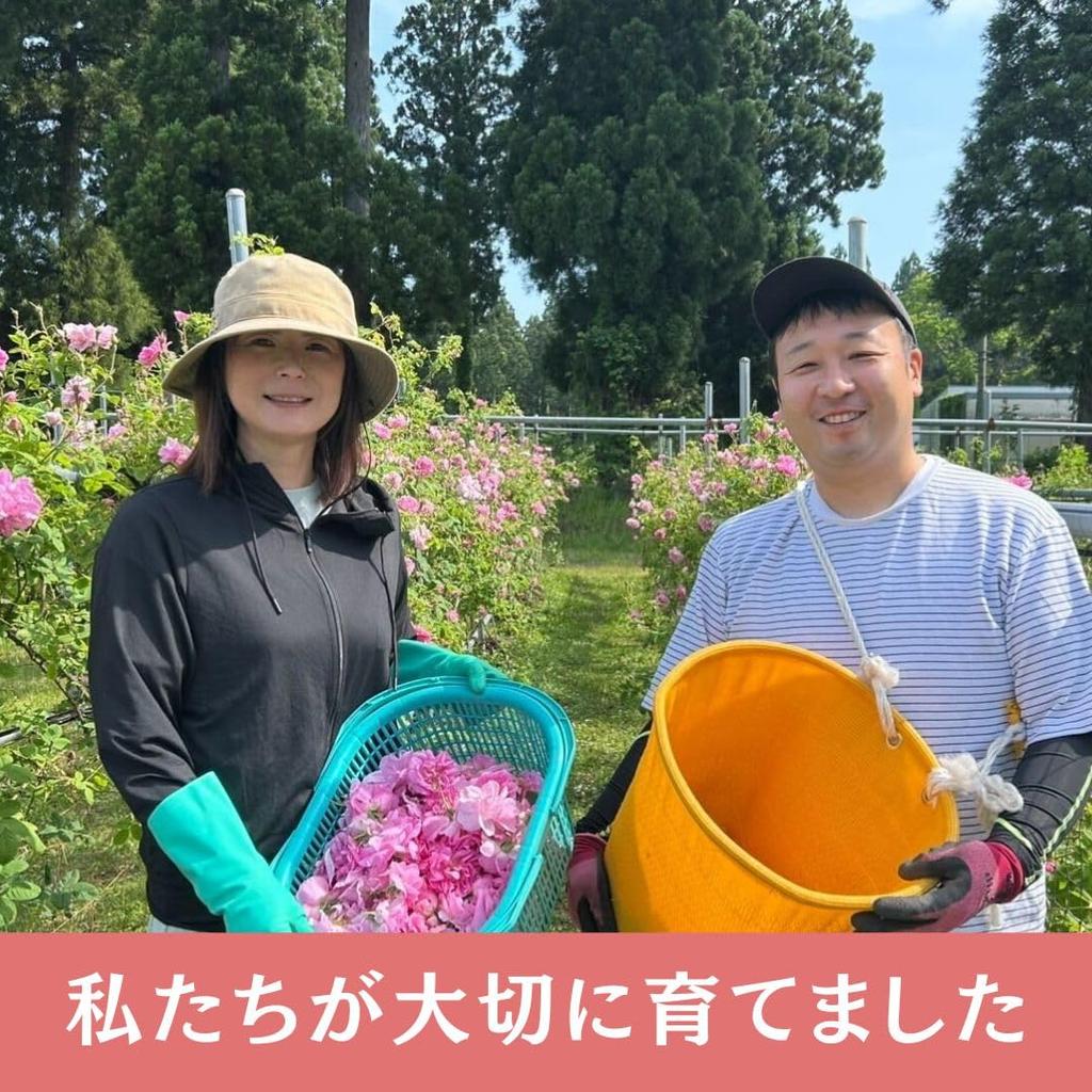 Rosemay Akita Rosengarten Reines Rosenwasser in (Hergestellt in Japan) (Einzelexemplar)