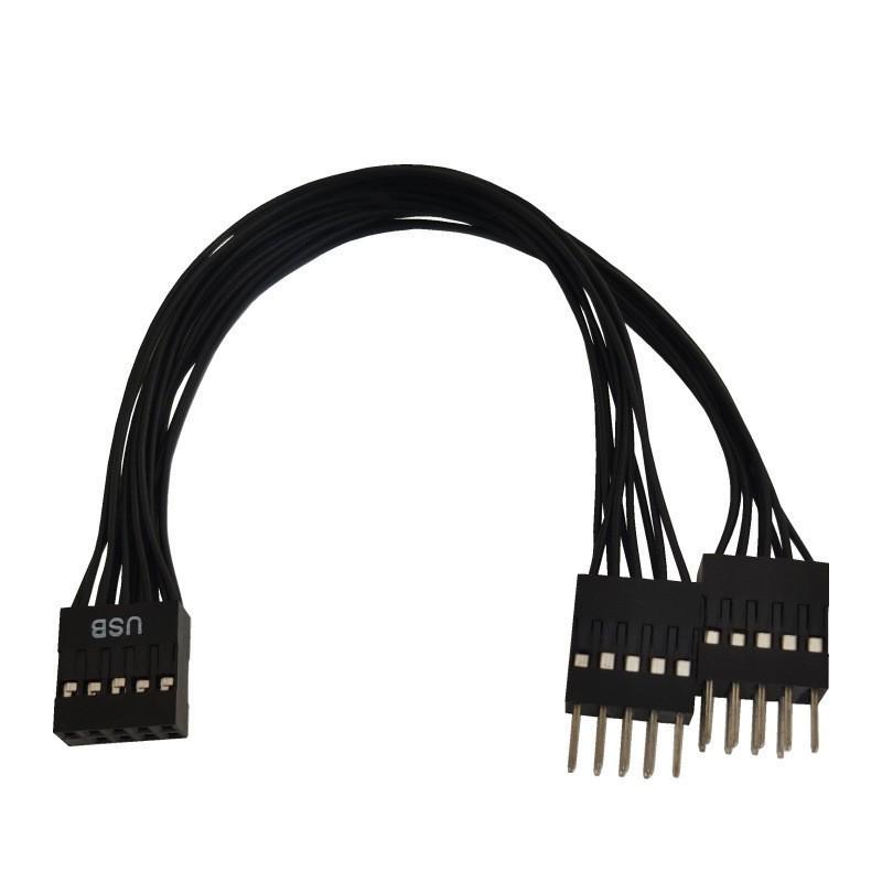 Adaptateur Câble d'Extension USB 9 Broches vers 2 Ports pour Carte Mère de Bureau