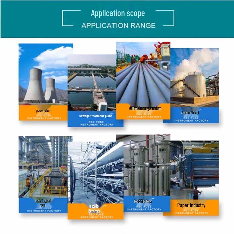 PT00 Industrial Resistance Temperature Detector