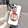 Hedgehog and Balloon Phone Case for iPhone 17 Air 16 16e 15 Plus for Apple 13 11 12 14 Pro Max Cover coque Shell