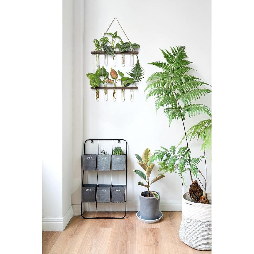Mkono Plant Propagation Tubes, 2 Tiered Wall Hanging Plant Terrarium with Wooden Stand Vase Glass Planter Stations for Hydroponic Flower Cutting Home