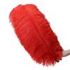 15-75cm Red Ostrich Feathers for Wedding Aisle Centerpieces, Table Decorations, Wall Art, Stage Props
