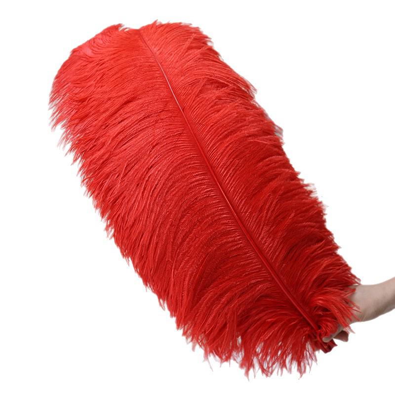 15-75cm Red Ostrich Feathers for Wedding Aisle Centerpieces, Table Decorations, Wall Art, Stage Props