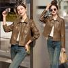 2025 Women's Slim Leather Jacket: Short, Fashionable, Turn-Down Collar Coat XG9957