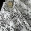 3D Floral Embroidery Lace Fabric for Elegant Wedding and Bridesmaid Dresses
