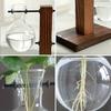 Hydroponic Glass Vase Vintage Desktop Plant Terrarium Planter Bulb Water Planting Propagation Vase Planters Hydroponics Plants