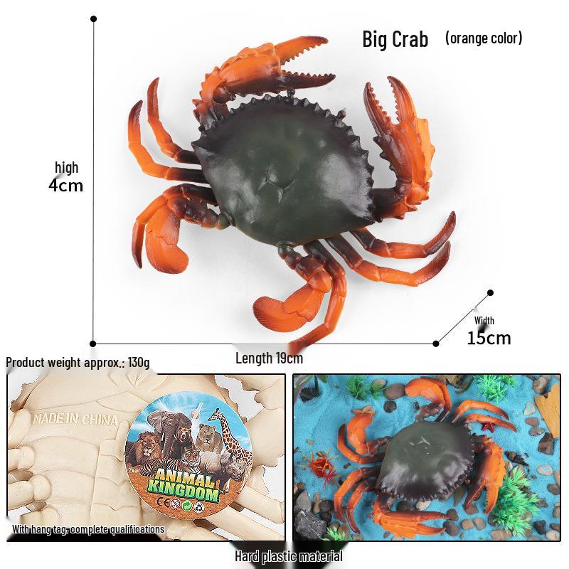 Children's Educational Marine Life Simulation Set: Megalodon, Hammerhead, Orca, and Whale Shark Toys