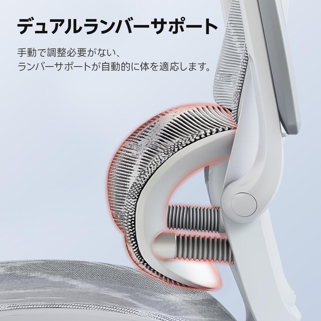 SIHOO M59AS Office Chair Desk Chair 3D Armrest 3D Headrest Automatic Adaptive Lumbar Support Rocking M59AS Flip-up Approx. 120° (Gray)