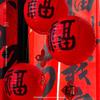 2026 New Year Red Fu Lanterns & Festive Spring Festival Wall Decor