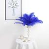 10Pcs Ostrich Feathers Plume DIY Dinning Table Centerpieces Decoration Accessories Jewelry Making Wedding Needlework Handicrafts