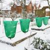 Winter Plantbeschermhoes Bescherming Boom Struik Plant Beschermzak Vorstbescherming Voor Tuinplanten Kleine Boom Tegen Kou