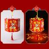 Chinese Style Spring Festival Projection Lantern Cartoon LED Luminous Lantern  Chinese New Year
