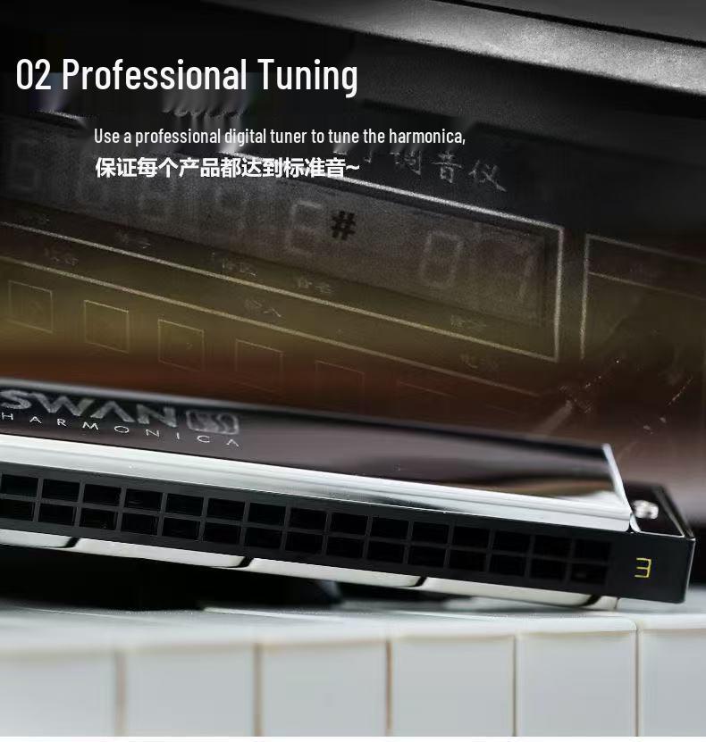 Swan 24-Hole Harmonica Set: 7-Piece and 12-Piece Options, ABCDEFG Keys, for Students and Adults, Beginner Wind Instrument.