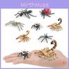 Realistic Insect Spider Scorpion Ant Animal Models For Kids Educational Play Pvc Decor Educational Gift