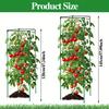 Plant Climbing Trellis for Tomatoes, Cucumbers, Beans - Durable Green Garden Support, Easy Assembly