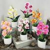 Artificial Orchid Potted Plants Fake Phalaenopsis In Plastic Pot Bonsai Plants Wedding Table Centerpiece Home Office Decoration
