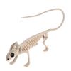 Décoration Halloween Squelette Animal Os Araignée Effrayante Chauve-souris Souris Scorpion Lézard Os Ornements Hallowmas Accessoires Horreur Fête
