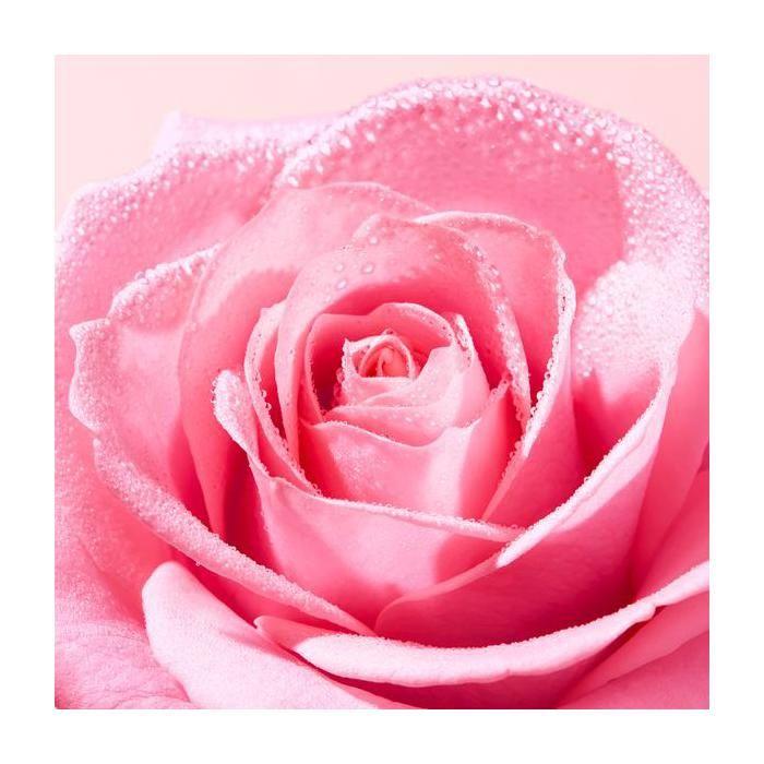 Gommage Visage - NUXE - Very Rose - 75ml - Vegan - Peaux Sensibles