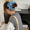 Large Korean Accessories Big Scrunchie Rubber Bands for Hair Women Girl Ties Elastic Vintage Popular Leading Fashion Adults Kpop
