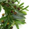 Olive Branch Wreaths Garlands Artificial Olive Beans For Front Door With Olive Leaves Greenery Wreath Festival Garland