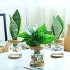 Vasos e caixas para jardim – Recipientes para mudas