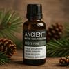 Scots Pine Essential Oil 50ml Pinus Sylvestris