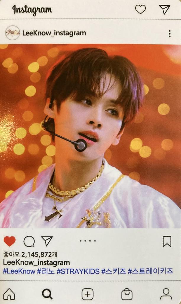 Stray Kids Reno Merchandise Photocard Set 60p (LEEKNOW)