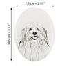 Coton de Tulear, Cotie - commemorative plaque with a photo of a dog, tombstone with a print, personalized oval plaque from the Art-Dog brand