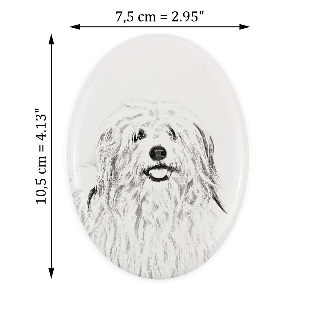 Coton de Tulear, Cotie - commemorative plaque with a photo of a dog, tombstone with a print, personalized oval plaque from the Art-Dog brand
