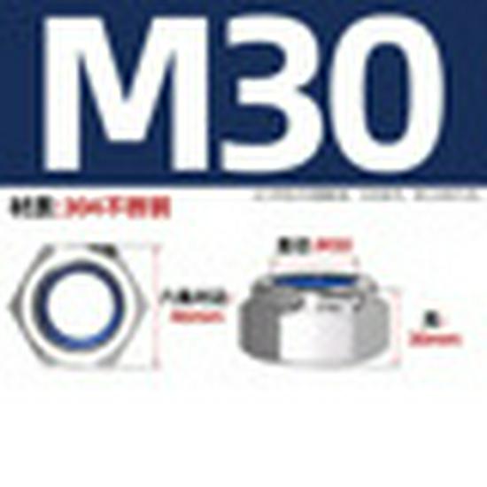 304 Stainless Steel Nylon-Insert Lock Nut DIN985