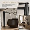 304 Stainless Steel Vessel Sink Faucet Single Cold Water Single Handle Sink Faucet One Hole Black Finish Tall Basin Tap