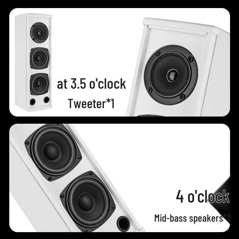 SAST Professional Conference Speaker System with 8 Microphones (CN Version)