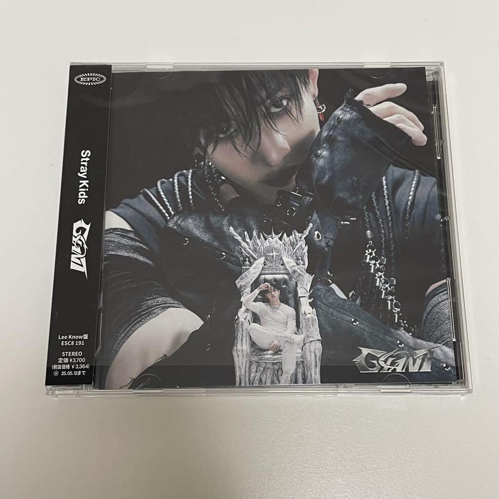 [USED] Stray Kids Bang Chan GIANT FC CD Trading Cards No Missing Cards
