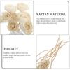 Angoily 10PCS Rattan Diffuser Sticks for Oil Aroma Diffuser Replacement, Flower Reed Diffuser Sticks (White 2)