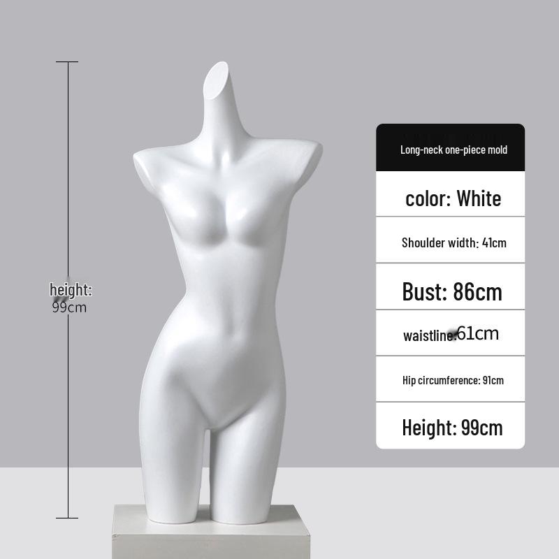 Underwear Display Mannequin: Half-Body Model for Bra and Panty Showcases