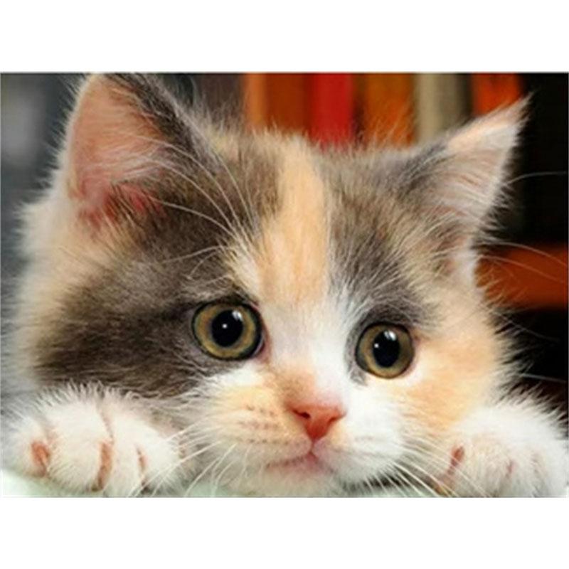 DIY Diamond Painting Kitten Cross Stitch Kit Mosaic Art Diamond Painting Full Circle/Square Diamond Home Decoration