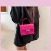Stylish Pure Color Handbag 2023 Winter New Casual Messenger Bag Personality Small Square Bag