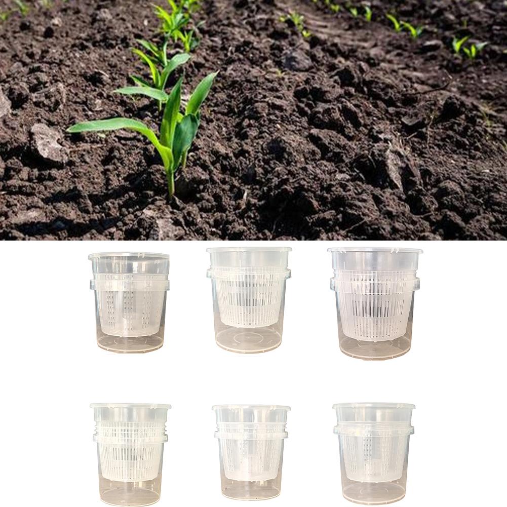 Minimal Maintenance Design Phalaenopsis Orchid Pots Self-Watering Pots