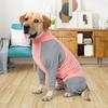 Pet Recovery Suit High Elasticity Comfortable Convenient Soft Allergy Free Prevent Licking