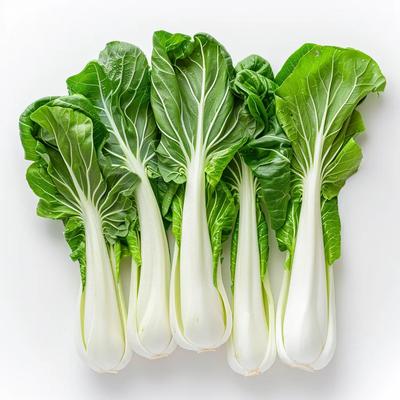 300 Pak Choi Çin Lahanası Tohumları