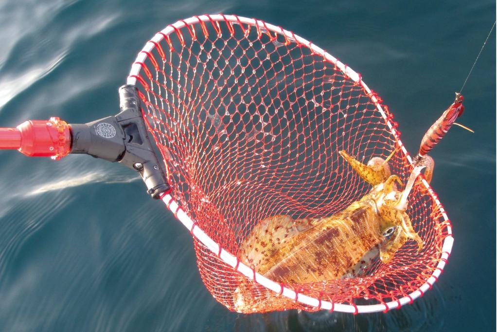 Daiichi Seiko Auto King Frame 38-350T Gunmetal 32085