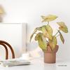Artificial Green Plants for Indoor Decor – Potted Ornaments for Living Room or Coffee Table