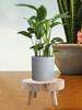 Wooden Flower Stand Stool Round Wooden Riser with 2.4in Leg Height Unpainted Finish S